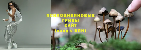 шишки Хадыженск