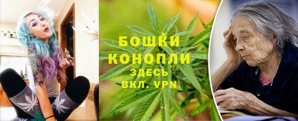 амф Белокуриха
